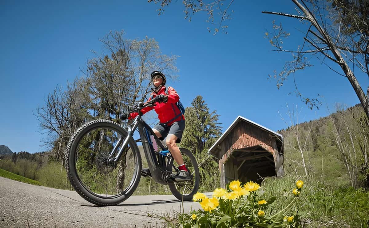 Image illustration of the question: do i need a license for an electric bike