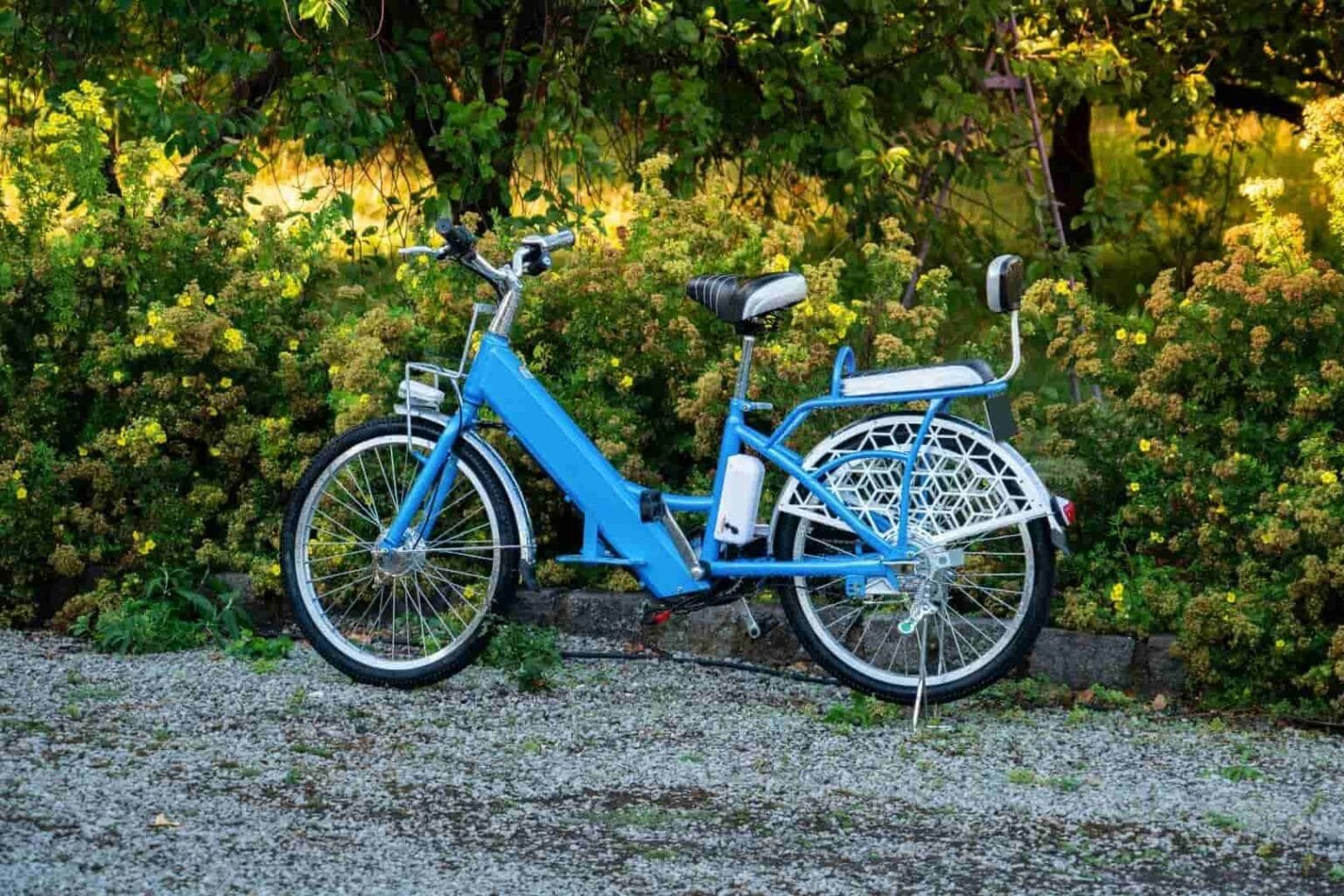 A 2 seater electric bike standing in a wood